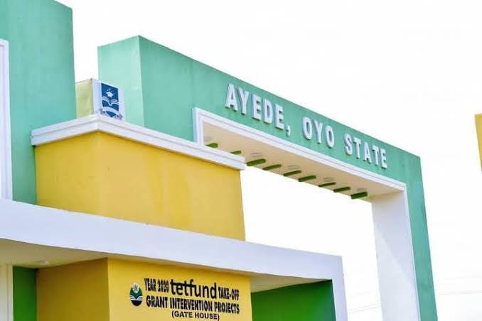 Ayede Poly