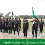 NAQS Opens Recruitment Status Portal, Sets CBT for August 20